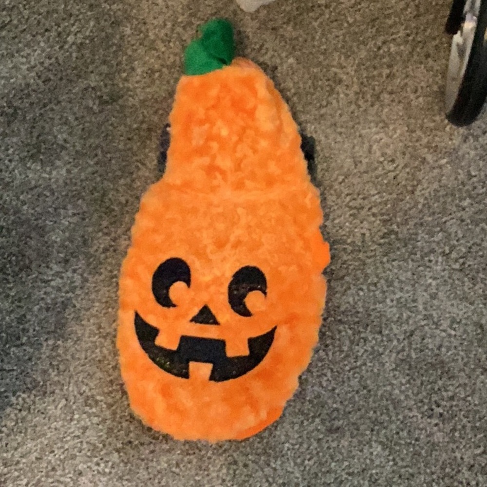 Pumpkin Pet Halloween Costume